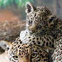 ���� ������, ������ - ��������� 31 ������� 2017 � ������ �������