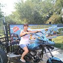 ���� ���������, ������, 41 ��� - ��������� 6 ������� 2017 � ������ ���� ����������