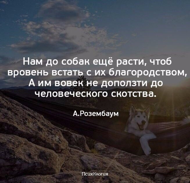  - 13  2017  14:57