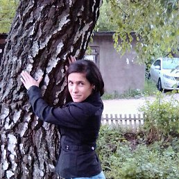 ���� �������, ������, 31 ��� - ��������� 12 ���� 2017