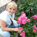  Antonina, , 55  -  16  2017   2017
