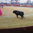 ���� Irina, ������, 55 ��� - ��������� 19 ��� 2017 � ������ ���� ����������