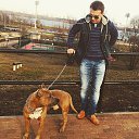 ���� ����, ������, 36 ��� - ��������� 1 �������� 2017