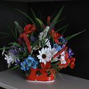 ���� �������, ��������, 52 ���� - ��������� 11 ���� 2017 � ������ ���� ��� � ����� ������� ������� (������ ������ ))))�