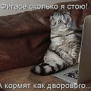 ���� �������, ������������, 55 ��� - ��������� 30 ������ 2017 � ������ �������