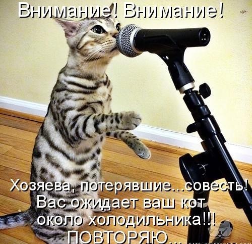 ��� �������� �������� - 18 ������� 2017 � 23:11