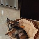 ��� �������� �� ������� ���� ����������