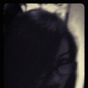 ���� ����, ������, 41 ��� - ��������� 8 ���� 2017 � ������ ���� ����������