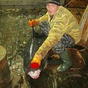 ���� ���������, �����������, 38 ��� - ��������� 26 ������ 2017 � ������ ���� ����������