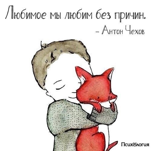  - 11  2017  10:33