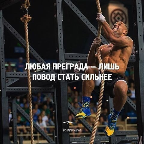 -   - 24  2017  03:35