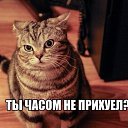 ���� �����, ������������ - ��������� 7 ���� 2017 � ������ ������ ��������