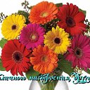 ��� ������� ����� �� ������� ���� ����������