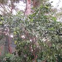 ���� ����, ����� - ��������� 22 ������� 2017 � ������ ��������� 2017 (��������)�