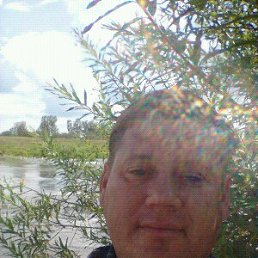 ���� �����, �����������, 44 ���� - ��������� 22 ���� 2017