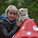 ���� ����, ��������, 52 ���� - ��������� 29 ������� 2017 � ������ ���� ����������