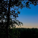  , , 75  -  29  2017   Ҹ   2017