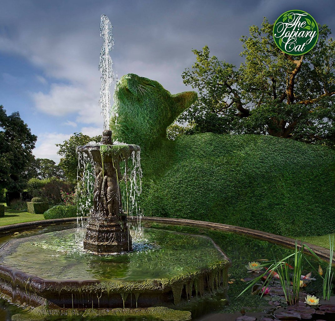 Topiary Cats