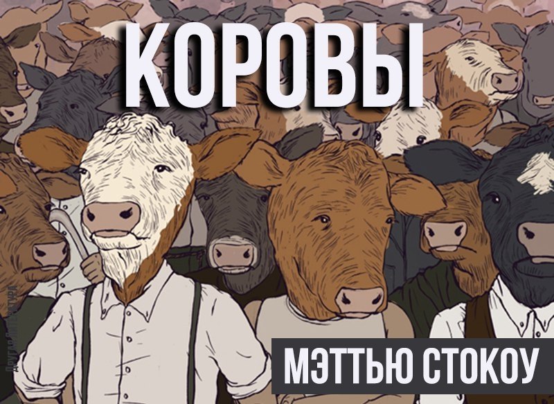 Коровы мэттью. Метью Стокоу коровы. Мэттью Стокоу "коровы" (1998). Книга коровы Мэттью Стокоу. Мэттью Стокоу коровы арт.