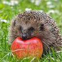 ���� �����, ������, 50 ��� - ��������� 15 ������ 2017 � ������ ������ ��������