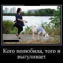  Aleks, , 65  -  1  2017    