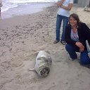 ���� ���������, �����������, 58 ��� - ��������� 9 ���� 2017