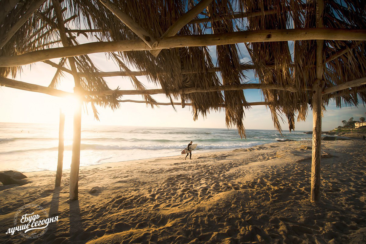 Почему многие люди не знают, как добиться успеха? С детства в нас закладывают определенную схему: ...