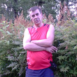 ���� ���, �����-��������� - ��������� 14 �������� 2017