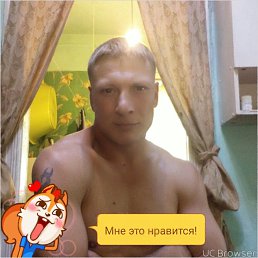 ���� �����, �����������, 37 ��� - ��������� 22 ������� 2017