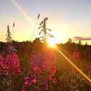 ���� ��������, �������, 40 ��� - ��������� 10 ������� 2017 � ������ ������ ��������