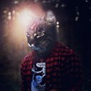 ���� Bolk, ���������, 23 ���� - ��������� 29 ��� 2017