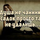 ���� ��������, ��������� - ��������� 17 ��� 2017 � ������ �������