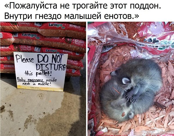   :    - 10  2017  23:32