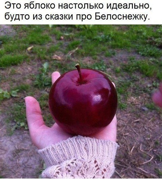 GUZLI.RU -   - 9  2017  03:25