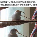 ���� =����=, ������ ��� - ��������� 25 ���� 2017 � ������ ������ ��������