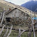 ���� Lilly, ����������� - ��������� 19 ��� 2017 � ������ ������ ��������