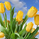 ���� �------, �����-������� - ��������� 23 ������� 2017