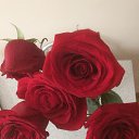 ���� Elina, ����, 50 ��� - ��������� 30 ������� 2017 � ������ ���� ����������
