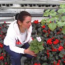 ���� ��������, �����������, 53 ���� - ��������� 23 ������ 2017 � ������ ���� ����������