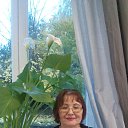 ���� �������, ������, 75 ��� - ��������� 21 ������� 2017 � ������ ���� ����������