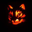 ���� ������, ���������, 33 ���� - ��������� 11 ������ 2017 � ������ ���� ����������