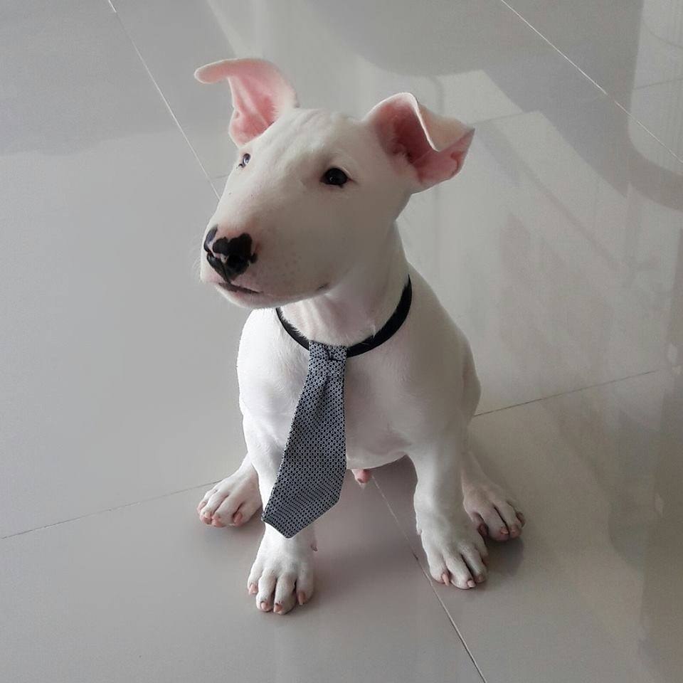 Добрый день всем жителям Буле-Городка ))).Для новых участников группы и для всех кто ищет полезную ...