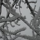 ���� ������, ��������� - ��������� 17 ������ 2017 � ������ ���� ����������