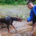 ���� ���/120/, �����-��������� - ��������� 8 ������� 2017 � ������ �����