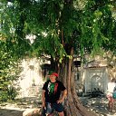 ���� ����, ������, 55 ��� - ��������� 17 ��� 2017 � ������ ���� ����������