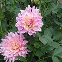 ���� �������, �����, 60 ��� - ��������� 17 ������� 2017 � ������ ���� �����