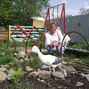 ���� ���������, �����������, 71 ��� - ��������� 6 ������� 2017 � ������ ���� ����������