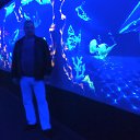  , , 43  -  4  2017     !!!