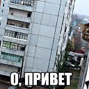 ���� �����(� ������ �� ����������_, ������ ����� - ��������� 8 ���� 2017 � ������ ������ ��������