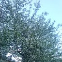 ���� �����, �������-���������, 63 ���� - ��������� 17 ��� 2017 � ������ ������ ��������